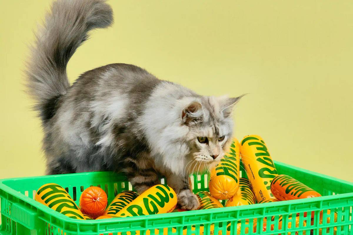 HiRaw!: Pet